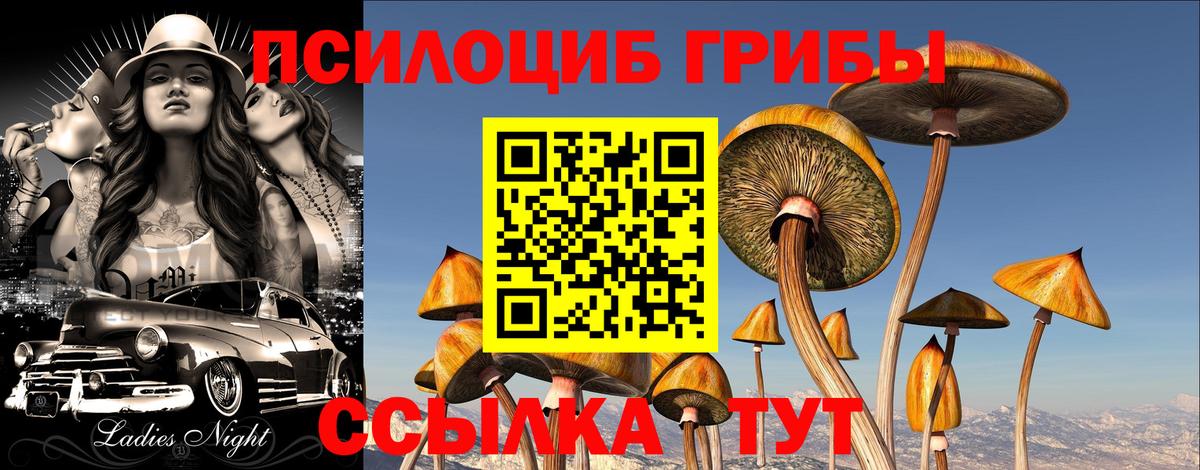 Галлюциногенные грибы прущие грибы Серпухов